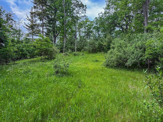 5696 E Winter Rd, Walkerville, MI 49459