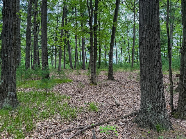 5696 E Winter Rd, Walkerville, MI 49459