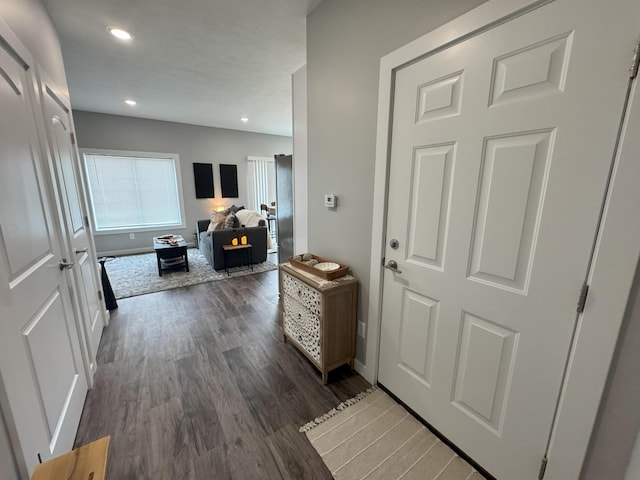 891 Rex St, Fremont, MI 49412 - hall featuring wood finished floors and recessed lighting