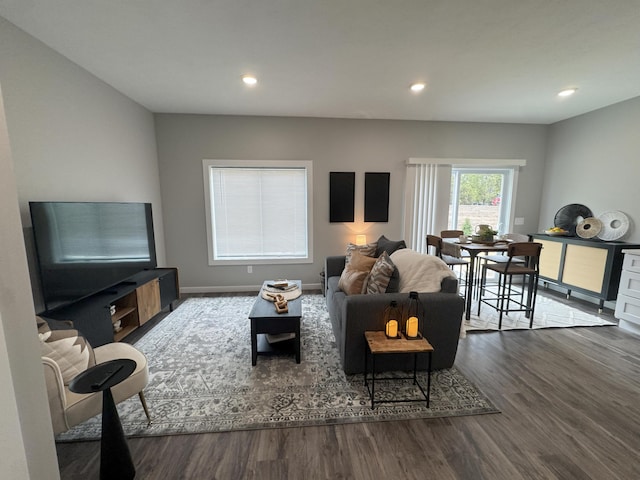 891 Rex St, Fremont, MI 49412 - living area featuring wood finished floors and recessed lighting