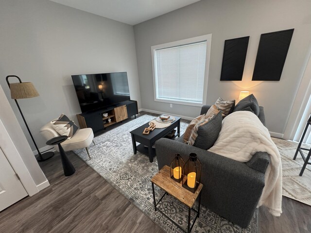 891 Rex St, Fremont, MI 49412 - living area with wood finished floors