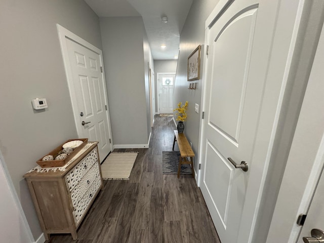 891 Rex St, Fremont, MI 49412 - hall with dark wood-type flooring and baseboards