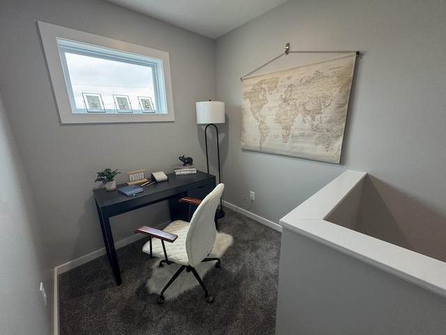 891 Rex St, Fremont, MI 49412 - home office with dark colored carpet and baseboards