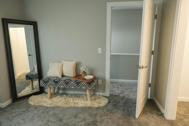 891 Rex St, Fremont, MI 49412 - living area with carpet floors and baseboards