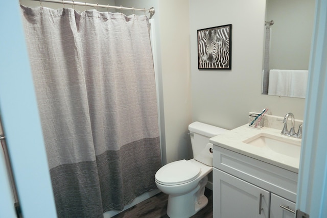 891 Rex St, Fremont, MI 49412 - bathroom featuring vanity, wood finished floors, and a shower with curtain