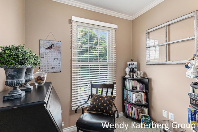 1033 Lumina Dr, Jenison, MI 49428 - living area with crown molding and carpet flooring