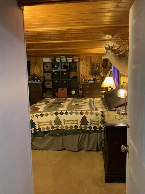 777 W Lincoln Ave, White Cloud, MI 49349 - photo 26