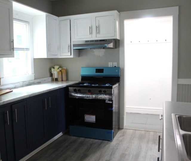 1608 S Rose St, Kalamazoo, MI 49001 - kitchen featuring stainless steel gas range oven, under cabinet range hood, light countertops, white cabinets, and dark wood-type flooring