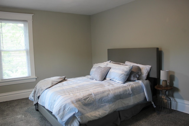 1608 S Rose St, Kalamazoo, MI 49001 - bedroom featuring carpet and multiple windows