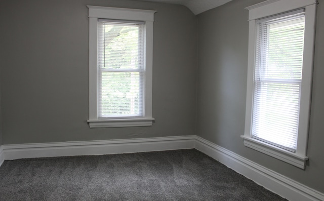 1608 S Rose St, Kalamazoo, MI 49001 - spare room with dark colored carpet and lofted ceiling
