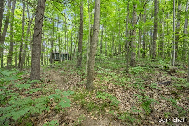 2187 Shawnee Trl NW, Stanton, MI 48888