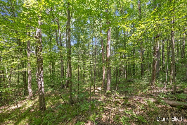 2187 Shawnee Trl NW, Stanton, MI 48888