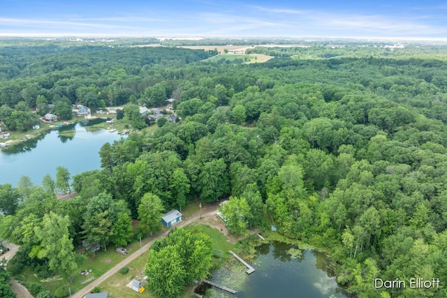 2187 Shawnee Trl NW, Stanton, MI 48888