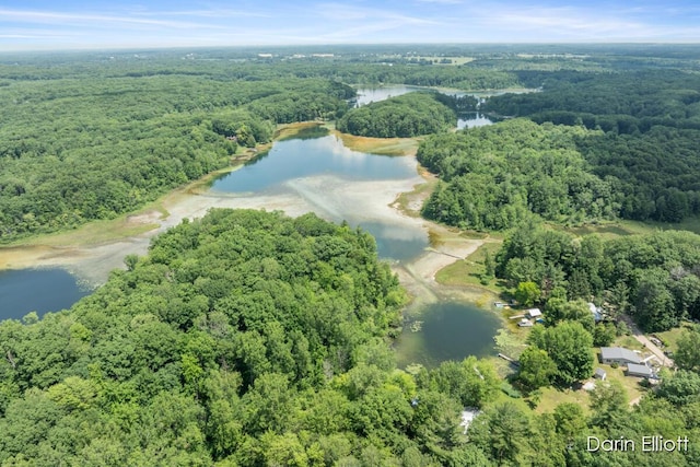 2187 Shawnee Trl NW, Stanton, MI 48888