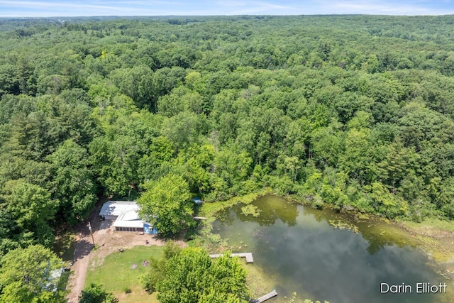 2187 Shawnee Trl NW, Stanton, MI 48888