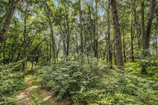 Carls Rd, Sturgis, MI 49091 - photo 5