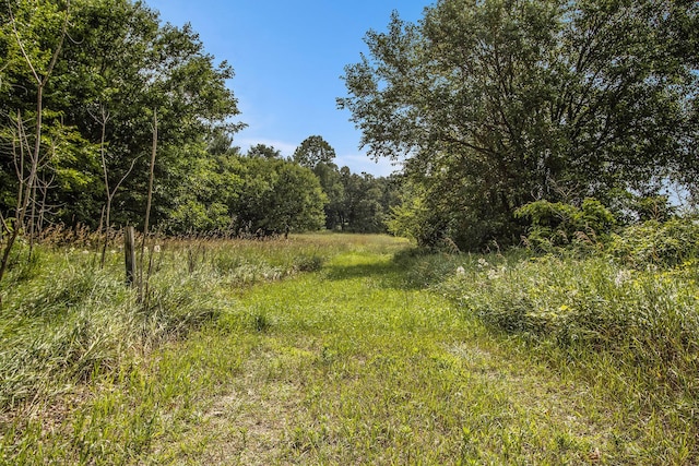 Carls Rd, Sturgis, MI 49091 - photo 1
