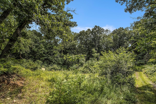 Carls Rd, Sturgis, MI 49091 - photo 7