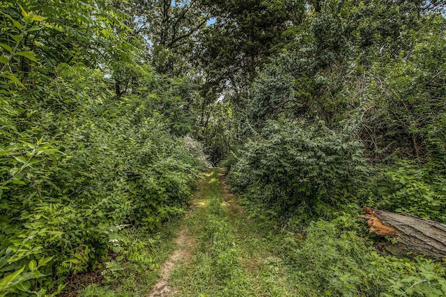 Carls Rd, Sturgis, MI 49091 - photo 8