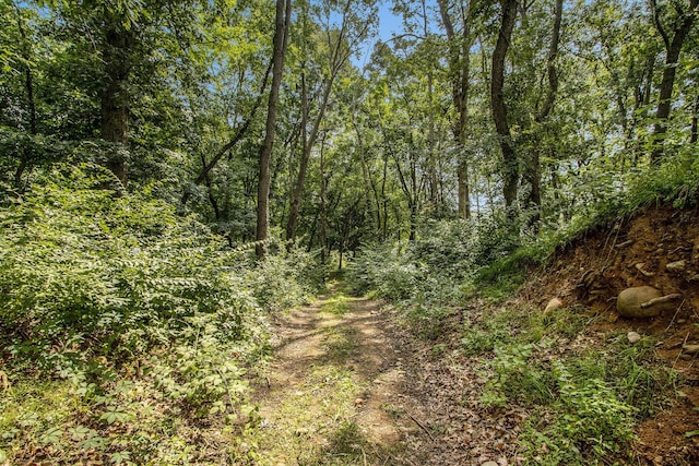 Carls Rd, Sturgis, MI 49091 - photo 9