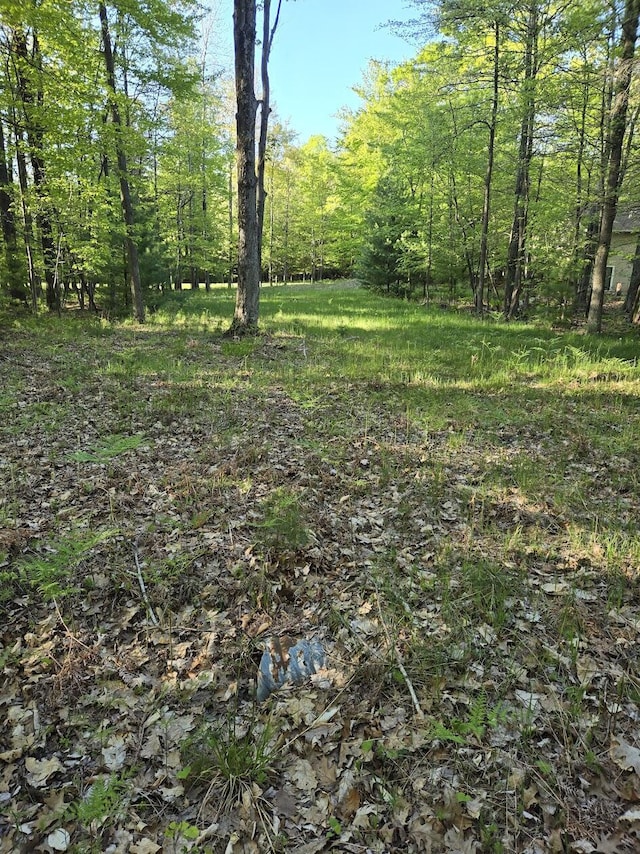 LOT5 N Ridge Rd, Mears, MI 49436