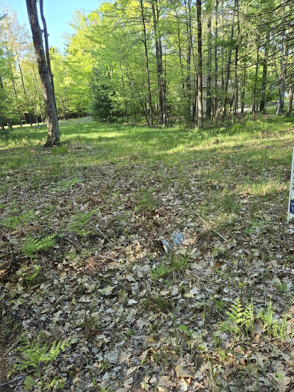 LOT5 N Ridge Rd, Mears, MI 49436