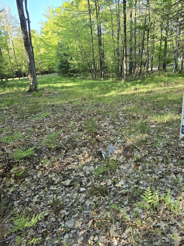 LOT5 N Ridge Rd, Mears, MI 49436