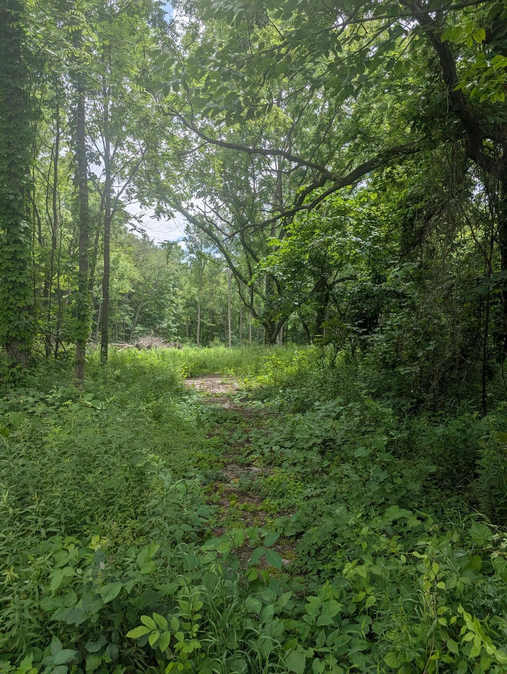 M-43, Bangor, MI 49013 - photo 1