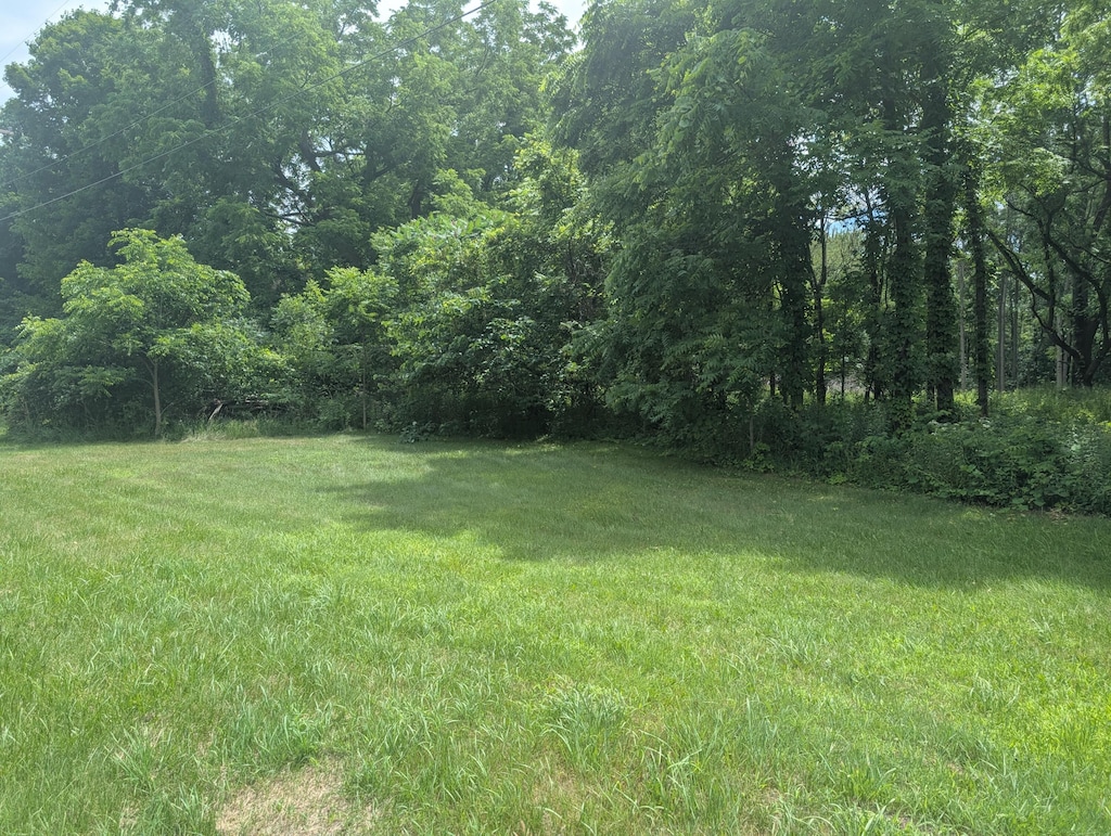 M-43, Bangor, MI 49013 - photo 3