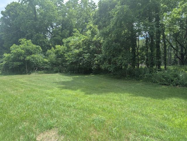 M-43, Bangor, MI 49013 - photo 3
