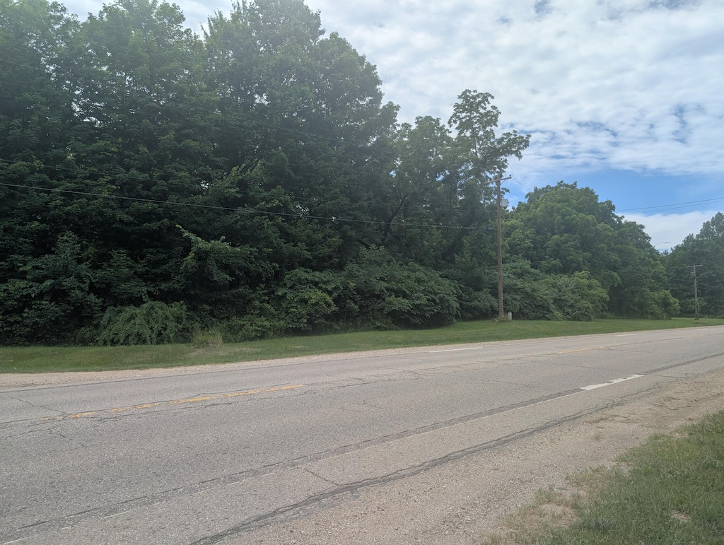M-43, Bangor, MI 49013 - photo 4