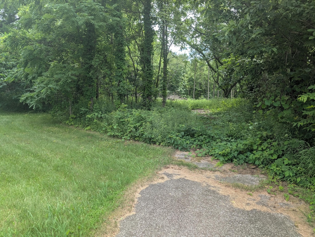 M-43, Bangor, MI 49013 - photo 2