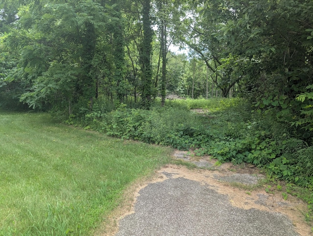 M-43, Bangor, MI 49013 - photo 2