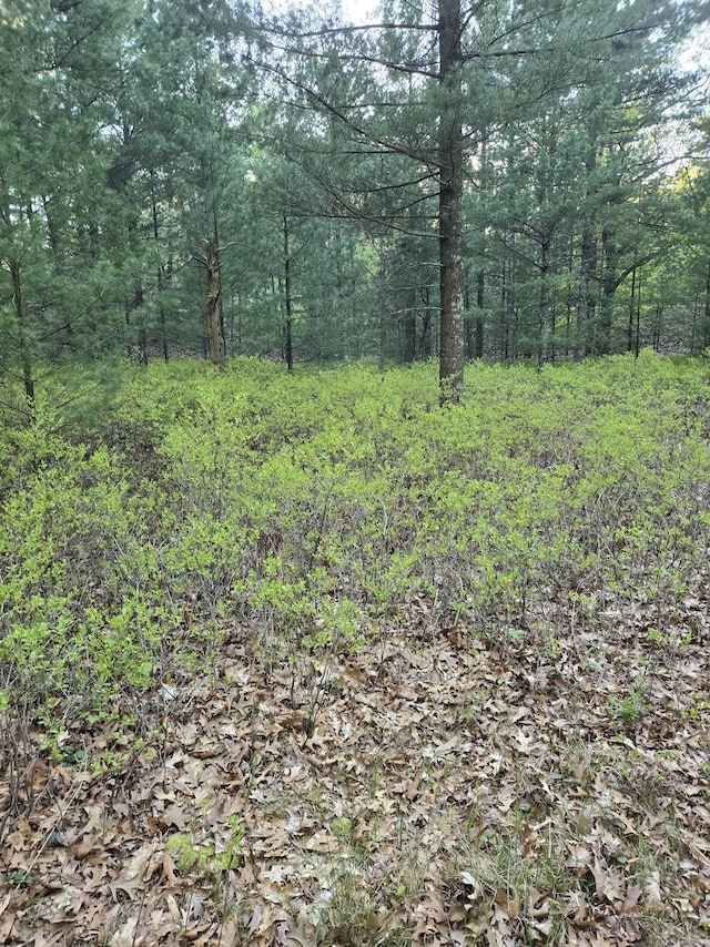 V/L Pentwater Blvd, Pentwater, MI 49449
