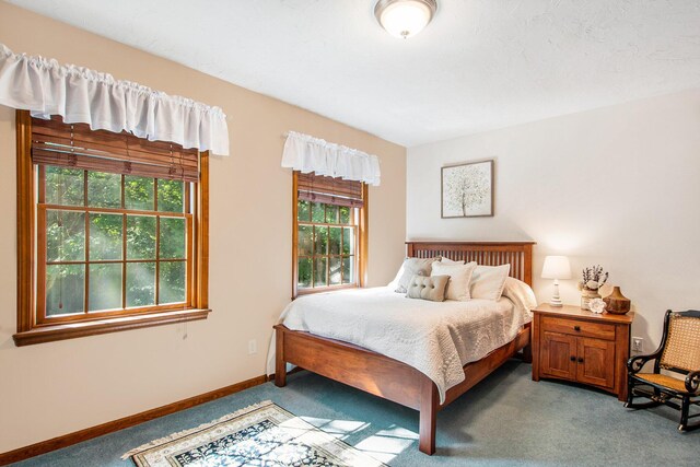 1401 57th St Unit 11Acres, Grand Junction, MI 49056 - photo 31