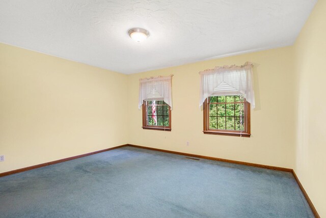 1401 57th St Unit 11Acres, Grand Junction, MI 49056 - photo 29