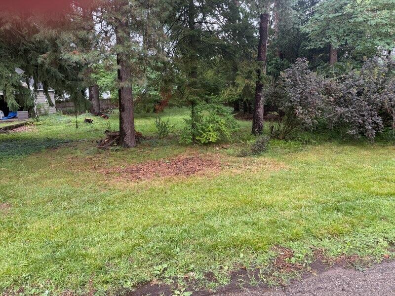 1122 Parker Ave, Kalamazoo, MI 49008 - photo 1
