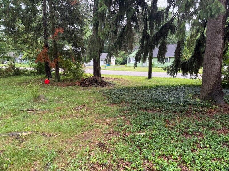 1122 Parker Ave, Kalamazoo, MI 49008 - photo 3