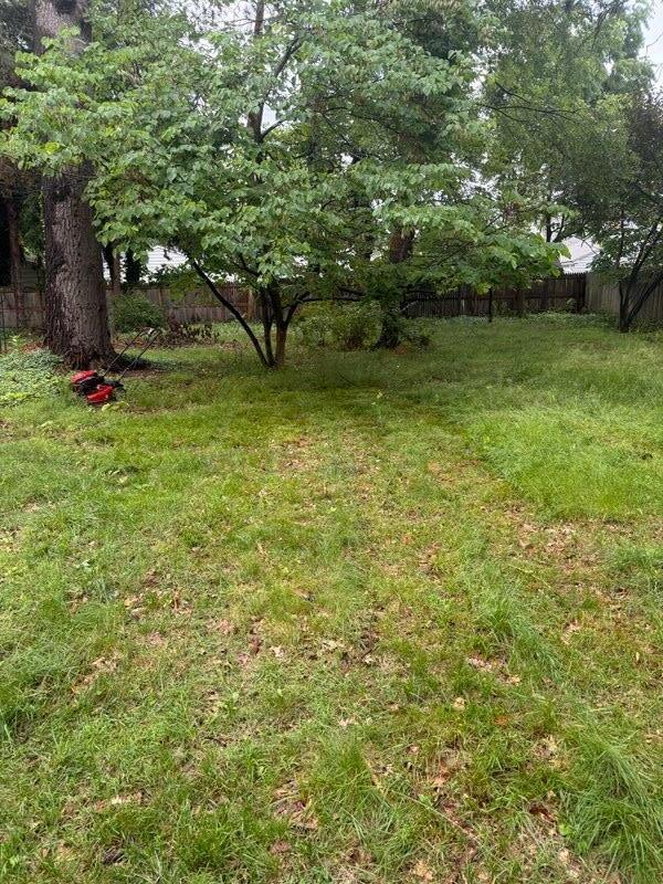 1122 Parker Ave, Kalamazoo, MI 49008 - photo 2