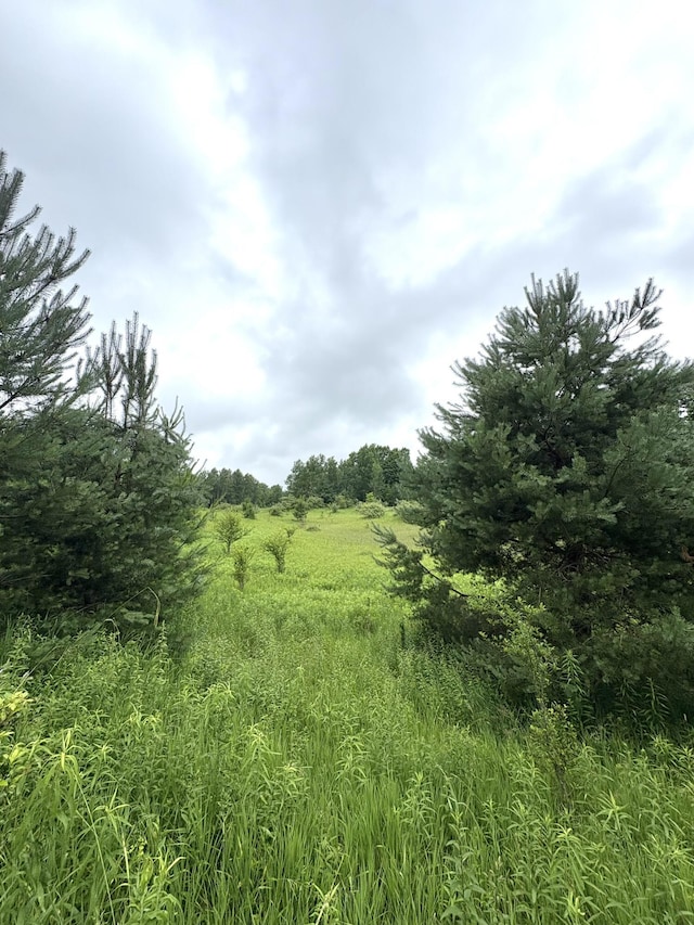 00 Hewitt, Tustin, MI 49688 - photo 1