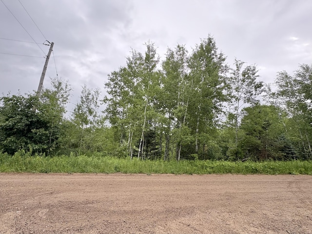 00 Hewitt, Tustin, MI 49688 - photo 6