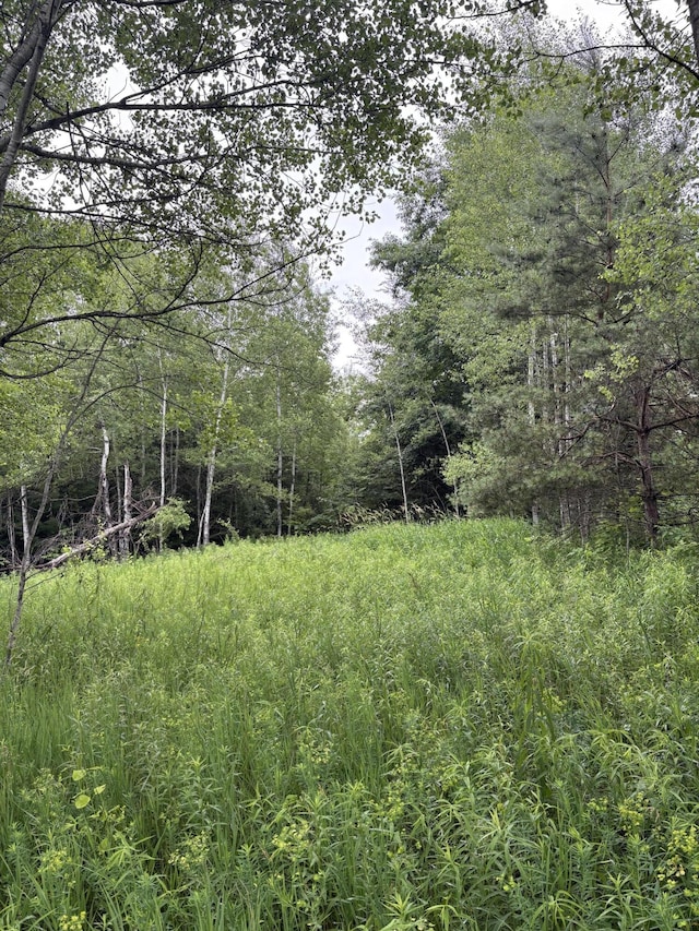 00 Hewitt, Tustin, MI 49688 - photo 3