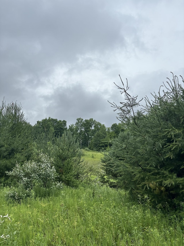 00 Hewitt, Tustin, MI 49688 - photo 4