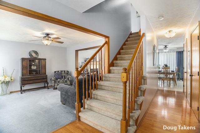 12359 Mission Hills Dr, Dewitt, MI 48820 - photo 18