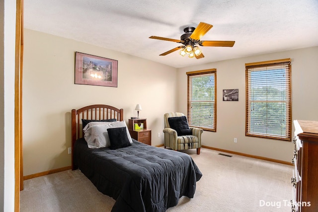 12359 Mission Hills Dr, Dewitt, MI 48820 - photo 32