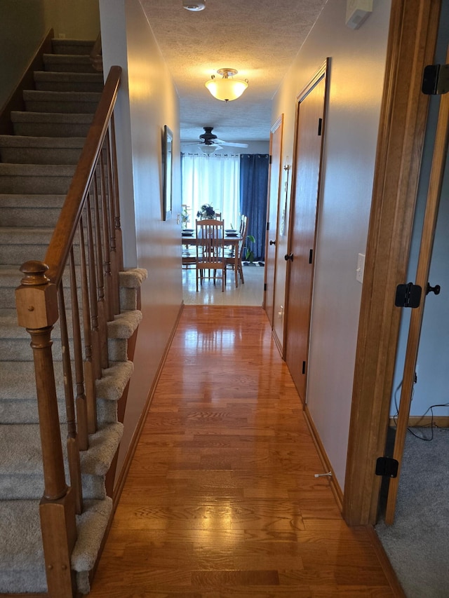 12359 Mission Hills Dr, Dewitt, MI 48820 - photo 20