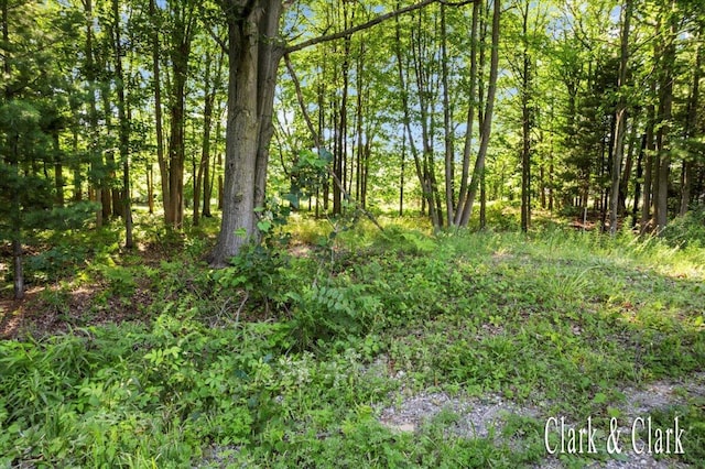 168th Ave, Spring Lake, MI 49456