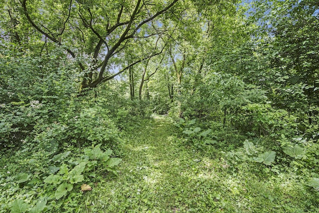 7079 Hanna Lake Ave SE, Caledonia, MI 49316 - photo 5