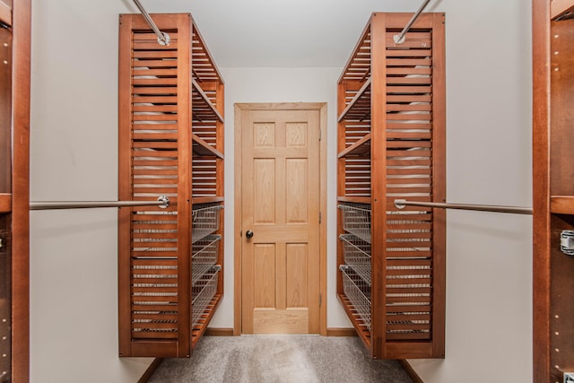 7532 Dell Rd, Saline, MI 48176 - walk in closet with carpet