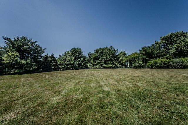 7532 Dell Rd, Saline, MI 48176 - view of grassy yard with a forest view